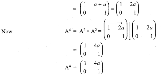 Samacheer Kalvi 11th Maths Solutions Chapter 7 Matrices and Determinants Ex 7.1 13