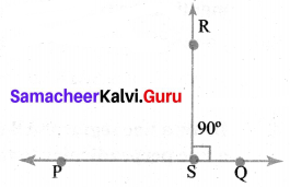 Samacheer Kalvi 6th Maths Solutions Term 2 Chapter 4 Geometry Additional Questions Q8