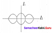 Samacheer Kalvi 6th Maths Solutions Term 3 Chapter 4 Geometry Ex 4.3 7