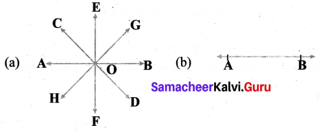 Samacheer Kalvi 6th Maths Term 1 Chapter 4 Geometry Additional Questions 1 Q3