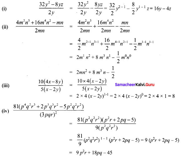 Samacheer Kalvi 8th Maths Term 1 Chapter 3 Algebra Ex 3.2 5