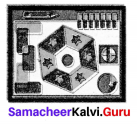 Samacheer Kalvi 8th Maths Term 1 Chapter 5 Information Processing Ex 5.3 8