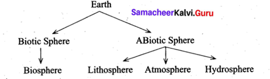 Samacheer Kalvi 9th Social Science Geography Solutions Chapter 1 Lithosphere - I Endogenetic Processes 3