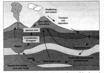 Samacheer Kalvi 9th Social Science Geography Solutions Chapter 1 Lithosphere - I Endogenetic Processes 9