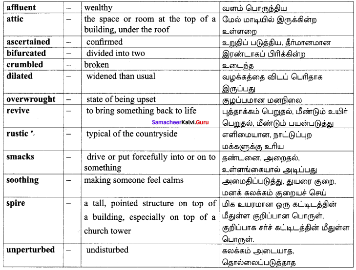 Samacheer Kalvi 10th English Solutions Prose Chapter 4 The Attic 23