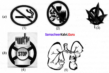 Samacheer Kalvi 10th Science Solutions Chapter 21 Health and Diseases 1