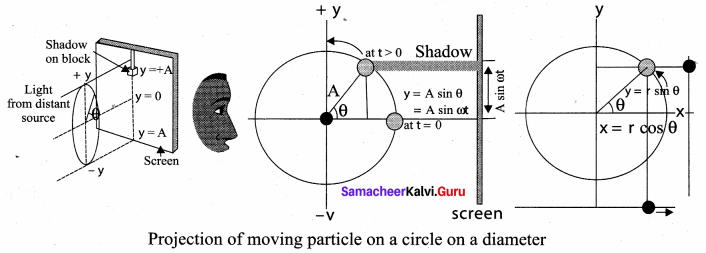 Samacheer Kalvi 11th Physics Solutions Chapter 10 Oscillations 63