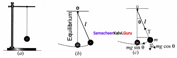 Samacheer Kalvi 11th Physics Solutions Chapter 10 Oscillations 67
