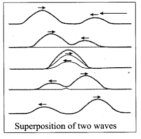 Samacheer Kalvi 11th Physics Solutions Chapter 11 Waves 39