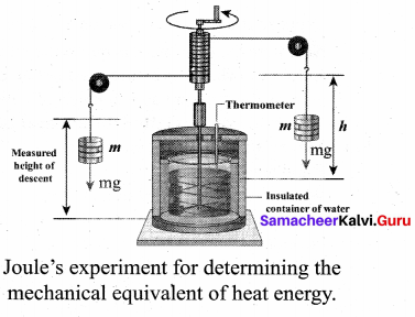 Samacheer Kalvi 11th Physics Solutions Chapter 8 Heat and Thermodynamics 49
