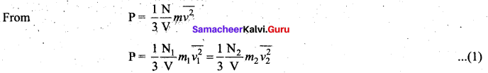 Samacheer Kalvi 11th Physics Solutions Chapter 9 Kinetic Theory of Gases 19