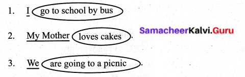 Samacheer Kalvi 6th English Solutions Term 1 Prose Chapter 1 Sea Turtles 14