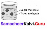 Samacheer Kalvi 6th Science Solutions Term 1 Chapter 3 Matter Around Us 12