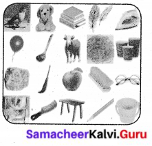 Samacheer Kalvi 6th Science Solutions Term 1 Chapter 3 Matter Around Us 13