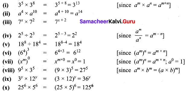 Samacheer Kalvi 7th Maths Solutions Term 2 Chapter 3 Algebra Ex 3.1 5
