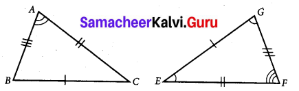 Samacheer Kalvi 7th Maths Solutions Term 2 Chapter 4 Geometry 4.2 4