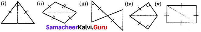 Samacheer Kalvi 7th Maths Solutions Term 2 Chapter 4 Geometry 4.2 5