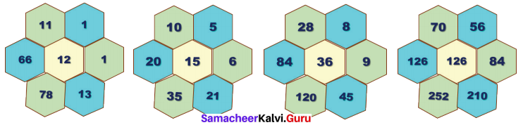 Samacheer Kalvi 7th Maths Solutions Term 2 Chapter 5 Information Processing Ex 5.3 9