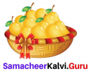 Samacheer Kalvi 8th Maths Solutions Term 2 Chapter 1 Life Mathematics Ex 1.1 15