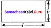 Samacheer Kalvi 8th Maths Solutions Term 2 Chapter 2 Algebra Ex 2.2 1