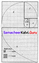 Samacheer Kalvi 8th Maths Solutions Term 2 Chapter 4 Information Processing Ex 4.1 3