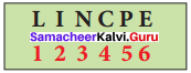 Samacheer Kalvi 8th Maths Solutions Term 2 Chapter 4 Information Processing Ex 4.3 2