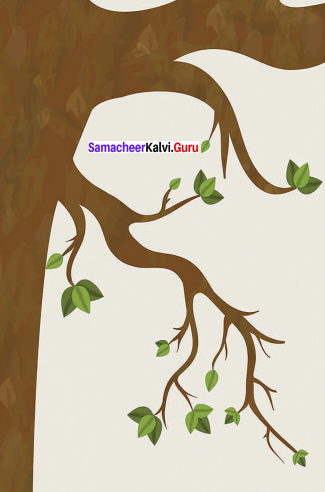 Samacheer Kalvi 9th English Solutions Poem Chapter 3 On Killing a Tree 8