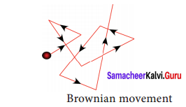 Samacheer Kalvi 9th Science Solutions Chapter 10 Matter Around Us 2