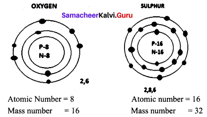 Samacheer Kalvi 9th Science Solutions Chapter 11 Atomic Structure 2