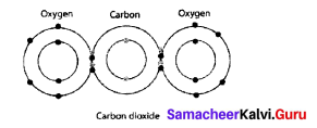Samacheer Kalvi 9th Science Solutions Chapter 13 Chemical Bonding 2