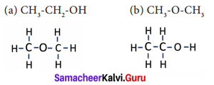 Samacheer Kalvi 9th Science Solutions Chapter 15 Carbon and its Compounds 3