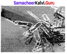 Samacheer Kalvi 9th Science Solutions Chapter 5 Magnetism and Electromagnetism 6