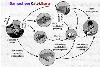 Samacheer Kalvi 7th Science Solutions Term 1 Chapter 6 Health and Hygiene image - 2