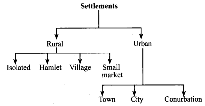 Samacheer Kalvi 7th Social Science Geography Solutions Term 1 Chapter 3 Population And Settlement 1