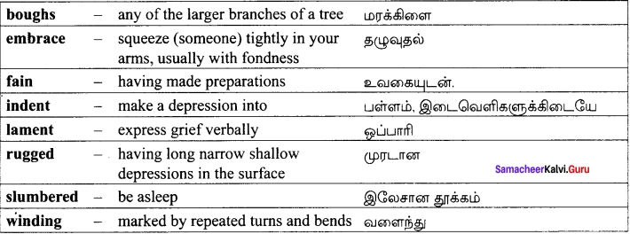 Samacheer Kalvi 12th English Solutions Poem Chapter 2 Our Casuarina Tree img-9