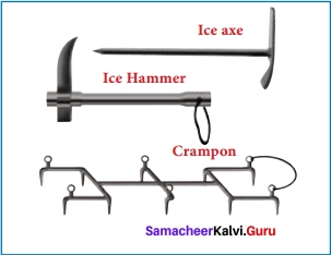 Samacheer Kalvi 12th English Solutions Prose Chapter 4 The Summit
