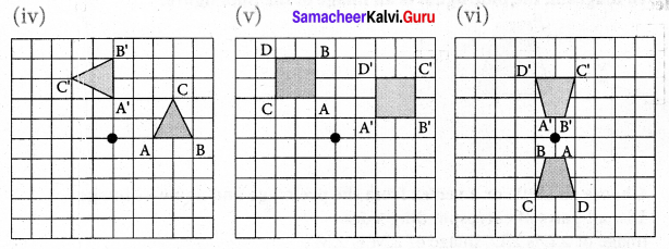 Samacheer Kalvi 7th Maths Solutions Term 3 Chapter 4 Geometry Ex 4.1 13