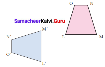 Samacheer Kalvi 7th Maths Solutions Term 3 Chapter 4 Geometry Ex 4.1 19