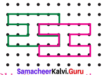 Samacheer Kalvi 7th Maths Solutions Term 3 Chapter 4 Geometry Ex 4.1 20
