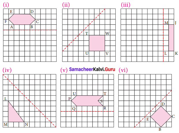 Samacheer Kalvi 7th Maths Solutions Term 3 Chapter 4 Geometry Ex 4.1 6