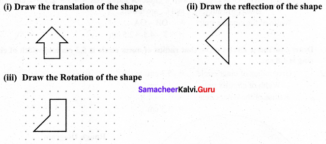 Samacheer Kalvi 7th Maths Solutions Term 3 Chapter 4 Geometry Ex 4.3 8