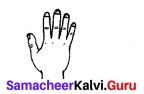 Samacheer Kalvi 7th Maths Solutions Term 3 Chapter 4 Geometry Intext Questions 1