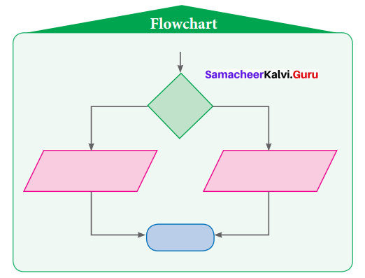 Samacheer Kalvi 7th Maths Solutions Term 3 Chapter 6 Information Processing Ex 6.1 13