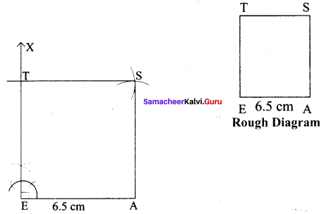 Samacheer Kalvi 8th Maths Solutions Term 3 Chapter 3.3 13