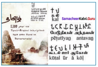 Samacheer Kalvi 12th English Solutions Prose Chapter 5 The Status of Tamil as a Classical Language img-10