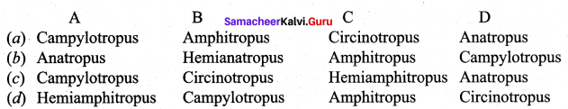 Samacheer Kalvi 12th Bio Botany Solutions Chapter 1 Asexual and Sexual Reproduction in Plants