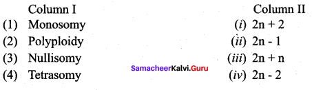 Samacheer Kalvi 12th Bio Botany Solutions Chapter 3 Chromosomal Basis of Inheritance