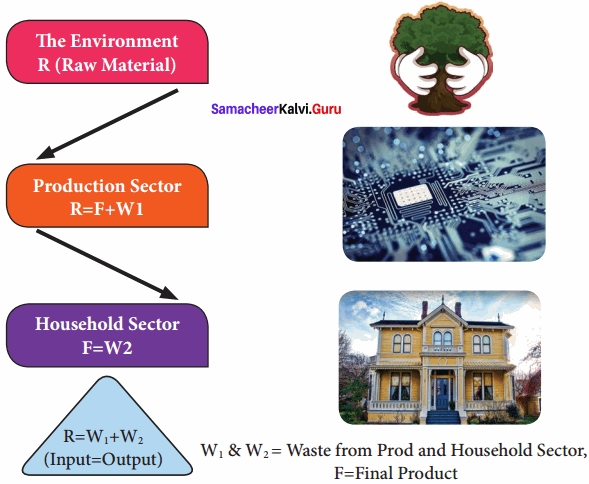 Samacheer Kalvi 12th Economics Solutions Chapter 10 Environmental Economics 