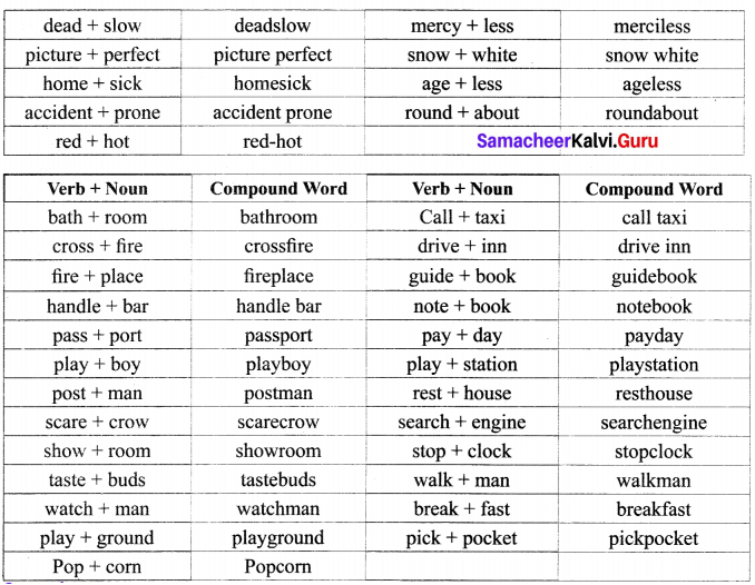 Samacheer Kalvi 12th English Vocabulary Compound Words 2