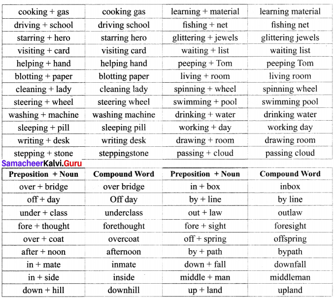 Samacheer Kalvi 12th English Vocabulary Compound Words 4